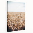 Farmhouse Wall Art Wheat Field Print | Rustic Country Harvest Decor