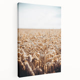 Farmhouse Wall Art Wheat Field Print | Rustic Country Harvest Decor