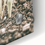 Farmhouse Wall Art: Rustic Country Charm with New Growth, Vintage Style