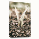 Farmhouse Wall Art: Rustic Country Charm with New Growth, Vintage Style