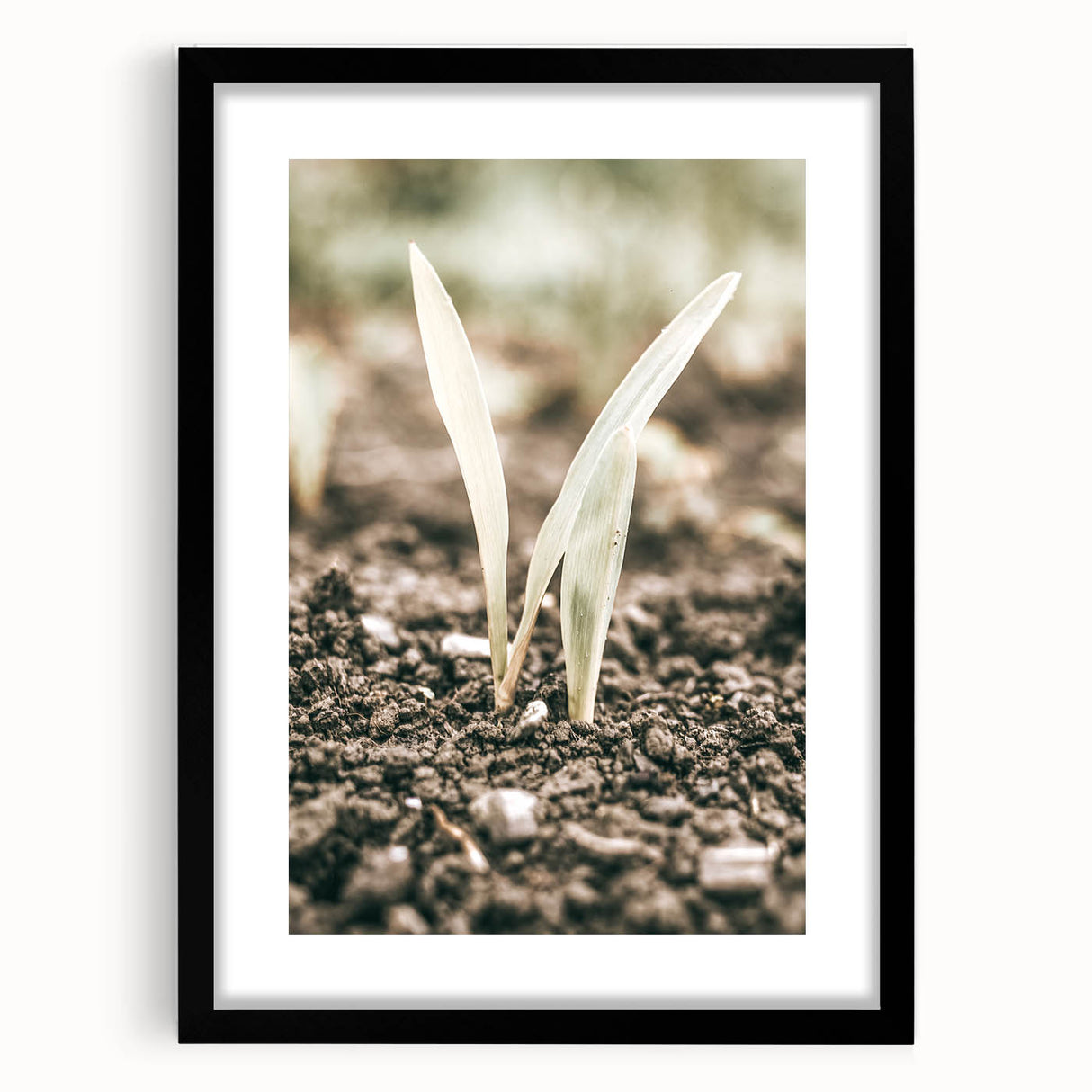 Farmhouse Wall Art: Rustic Country Charm with New Growth, Vintage Style