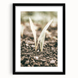 Farmhouse Wall Art: Rustic Country Charm with New Growth, Vintage Style