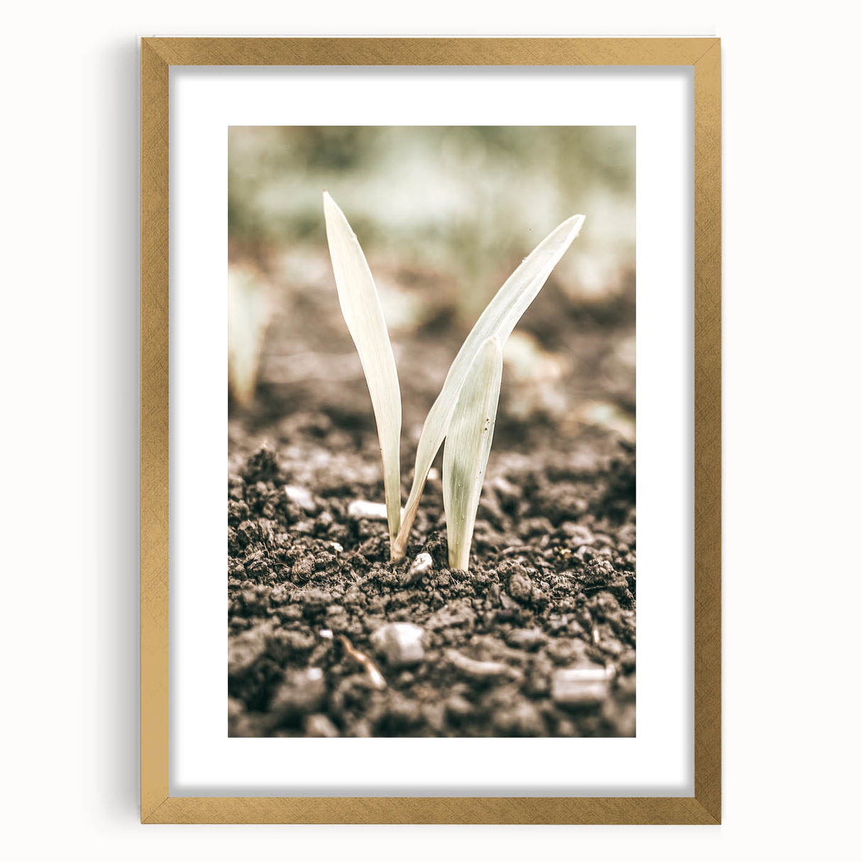 Farmhouse Wall Art: Rustic Country Charm with New Growth, Vintage Style