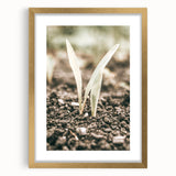 Farmhouse Wall Art: Rustic Country Charm with New Growth, Vintage Style