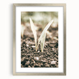 Farmhouse Wall Art: Rustic Country Charm with New Growth, Vintage Style