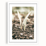 Farmhouse Wall Art: Rustic Country Charm with New Growth, Vintage Style