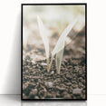 Farmhouse Wall Art: Rustic Country Charm with New Growth, Vintage Style