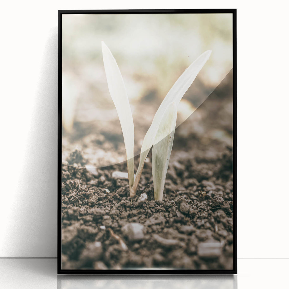 Farmhouse Wall Art: Rustic Country Charm with New Growth, Vintage Style