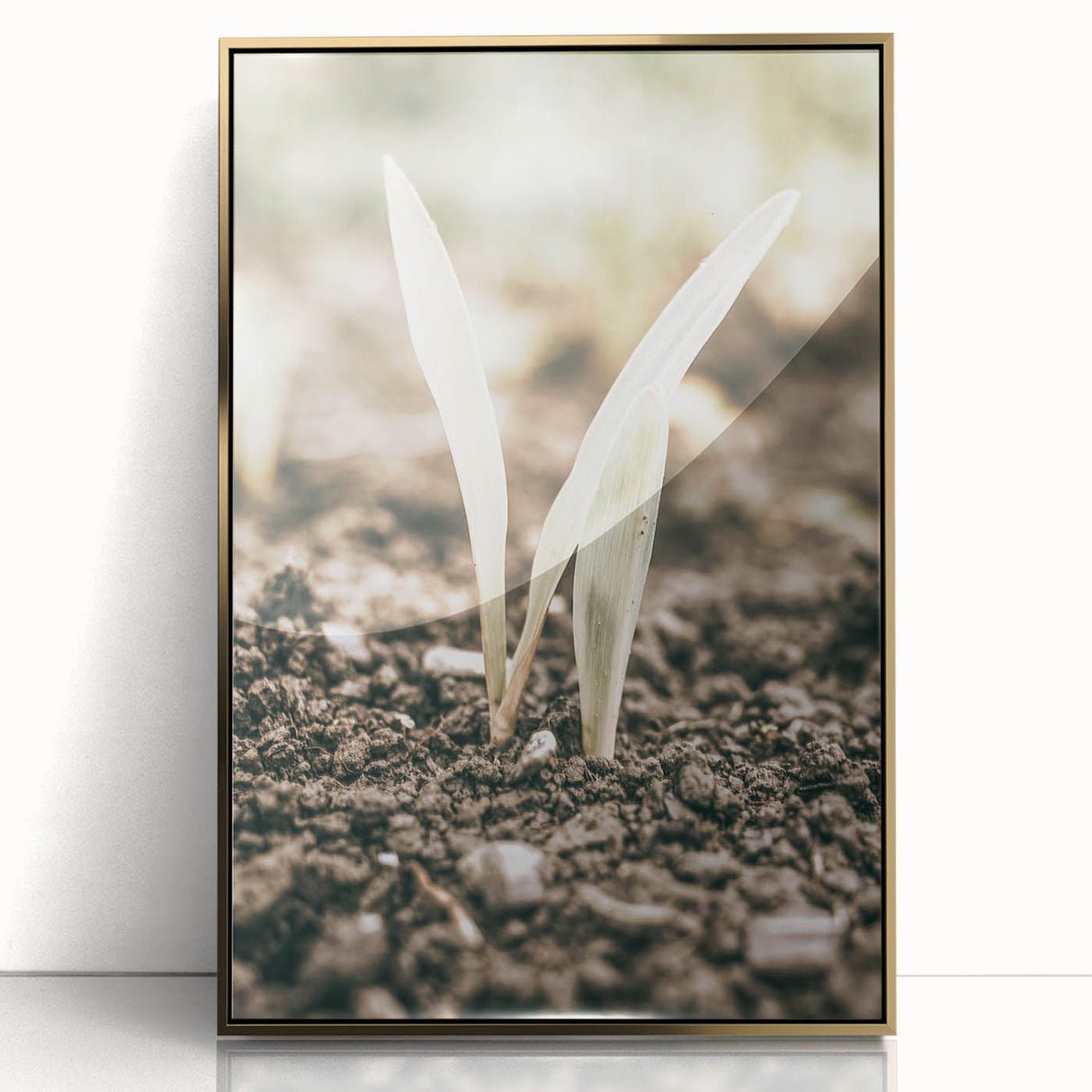 Farmhouse Wall Art: Rustic Country Charm with New Growth, Vintage Style