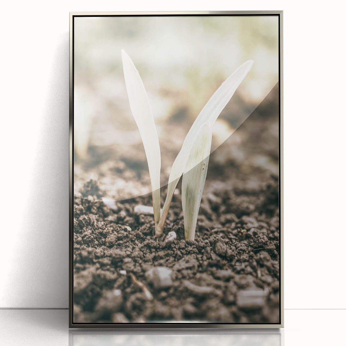 Farmhouse Wall Art: Rustic Country Charm with New Growth, Vintage Style