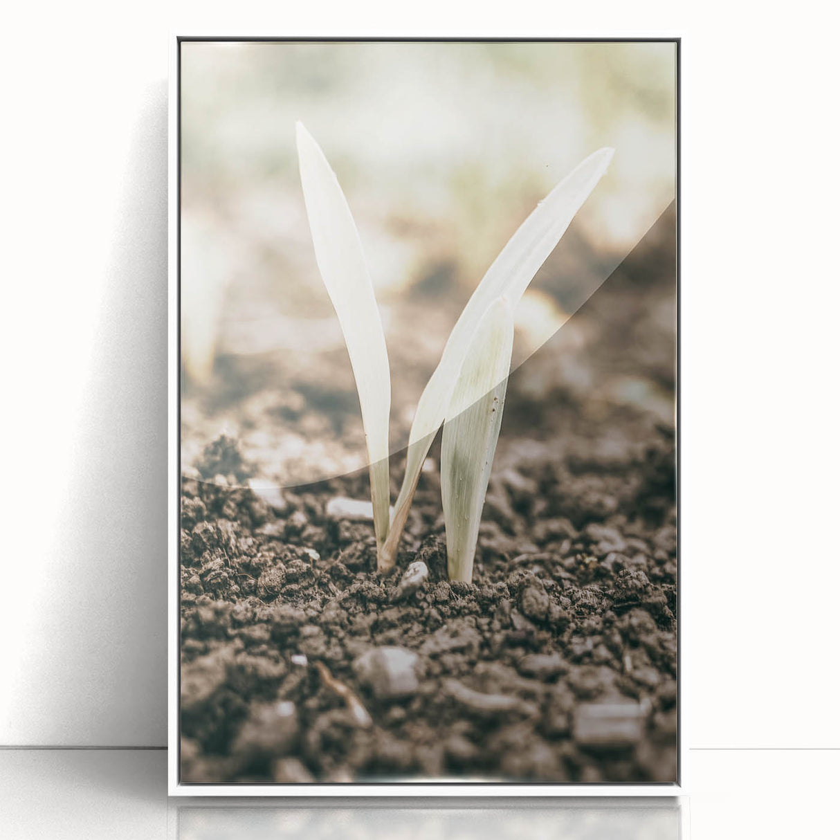 Farmhouse Wall Art: Rustic Country Charm with New Growth, Vintage Style