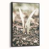 Farmhouse Wall Art: Rustic Country Charm with New Growth, Vintage Style