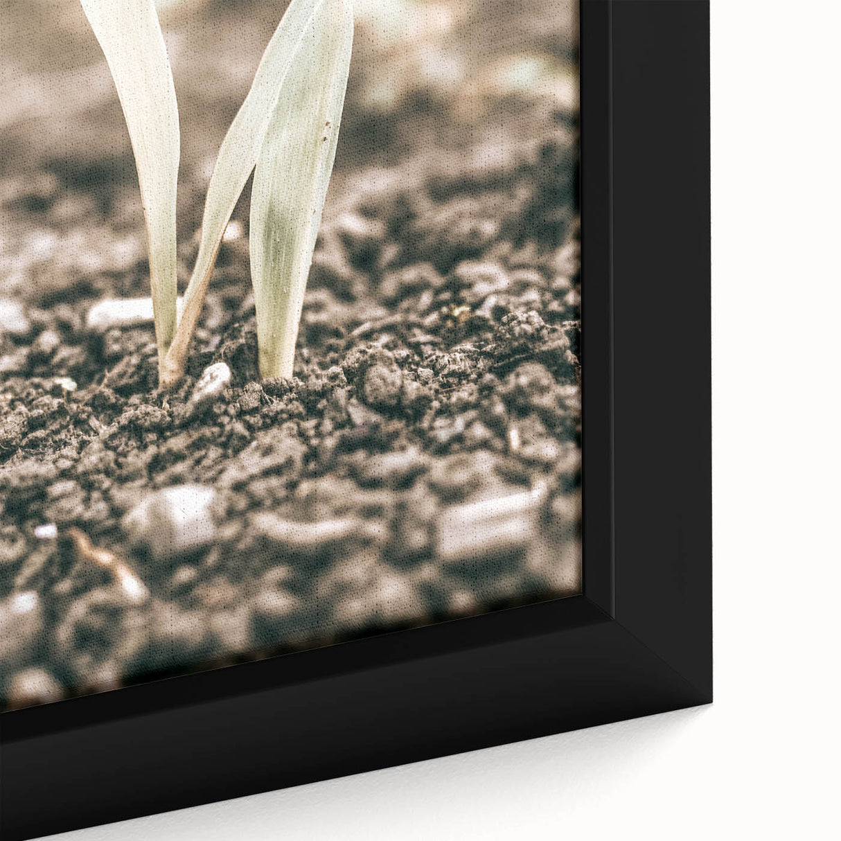 Farmhouse Wall Art: Rustic Country Charm with New Growth, Vintage Style