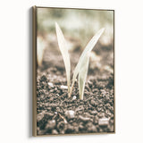 Farmhouse Wall Art: Rustic Country Charm with New Growth, Vintage Style
