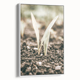 Farmhouse Wall Art: Rustic Country Charm with New Growth, Vintage Style