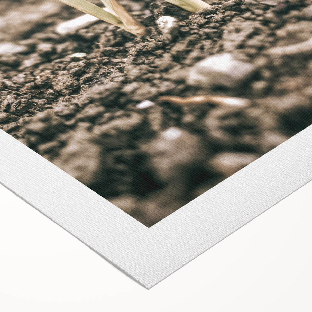 Farmhouse Wall Art: Rustic Country Charm with New Growth, Vintage Style