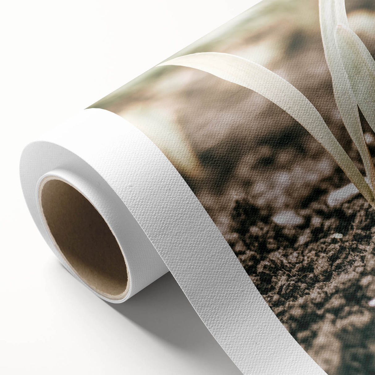 Farmhouse Wall Art: Rustic Country Charm with New Growth, Vintage Style