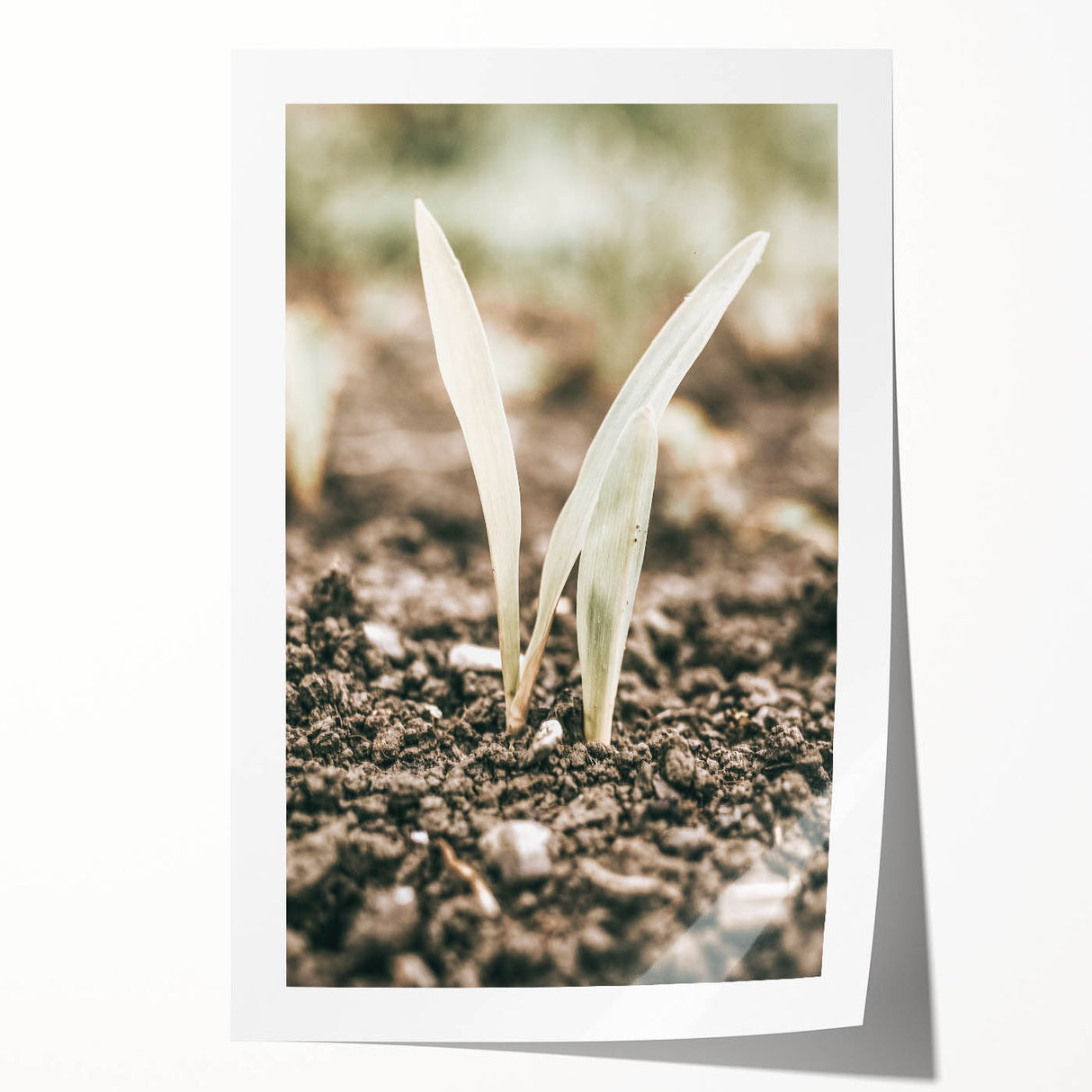 Farmhouse Wall Art: Rustic Country Charm with New Growth, Vintage Style