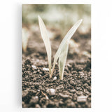 Farmhouse Wall Art: Rustic Country Charm with New Growth, Vintage Style