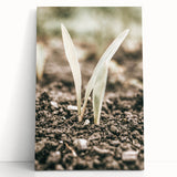 Farmhouse Wall Art: Rustic Country Charm with New Growth, Vintage Style