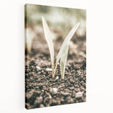 Farmhouse Wall Art: Rustic Country Charm with New Growth, Vintage Style