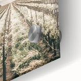 Farmhouse Wall Art: Serene Vineyard Landscape, Rustic Country Decor