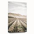 Farmhouse Wall Art: Serene Vineyard Landscape, Rustic Country Decor