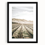Farmhouse Wall Art: Serene Vineyard Landscape, Rustic Country Decor