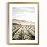Farmhouse Wall Art: Serene Vineyard Landscape, Rustic Country Decor