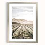 Farmhouse Wall Art: Serene Vineyard Landscape, Rustic Country Decor