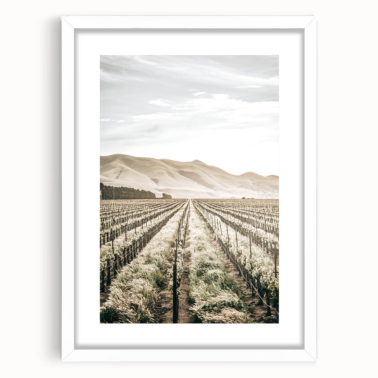 Farmhouse Wall Art: Serene Vineyard Landscape, Rustic Country Decor