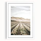Farmhouse Wall Art: Serene Vineyard Landscape, Rustic Country Decor