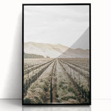 Farmhouse Wall Art: Serene Vineyard Landscape, Rustic Country Decor