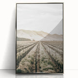 Farmhouse Wall Art: Serene Vineyard Landscape, Rustic Country Decor