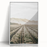 Farmhouse Wall Art: Serene Vineyard Landscape, Rustic Country Decor