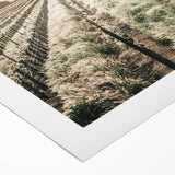 Farmhouse Wall Art: Serene Vineyard Landscape, Rustic Country Decor