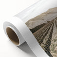 Farmhouse Wall Art: Serene Vineyard Landscape, Rustic Country Decor