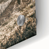 Farmhouse Wall Art: Sunlit Vineyard Rows, Rustic Country Charm Decor