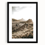 Farmhouse Wall Art: Sunlit Vineyard Rows, Rustic Country Charm Decor