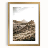 Farmhouse Wall Art: Sunlit Vineyard Rows, Rustic Country Charm Decor