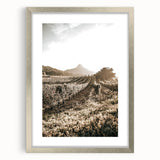 Farmhouse Wall Art: Sunlit Vineyard Rows, Rustic Country Charm Decor