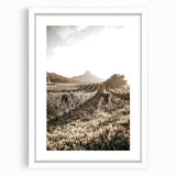 Farmhouse Wall Art: Sunlit Vineyard Rows, Rustic Country Charm Decor