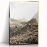 Farmhouse Wall Art: Sunlit Vineyard Rows, Rustic Country Charm Decor