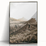 Farmhouse Wall Art: Sunlit Vineyard Rows, Rustic Country Charm Decor