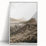 Farmhouse Wall Art: Sunlit Vineyard Rows, Rustic Country Charm Decor