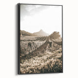 Farmhouse Wall Art: Sunlit Vineyard Rows, Rustic Country Charm Decor