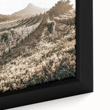 Farmhouse Wall Art: Sunlit Vineyard Rows, Rustic Country Charm Decor