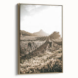 Farmhouse Wall Art: Sunlit Vineyard Rows, Rustic Country Charm Decor