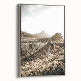 Farmhouse Wall Art: Sunlit Vineyard Rows, Rustic Country Charm Decor