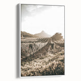 Farmhouse Wall Art: Sunlit Vineyard Rows, Rustic Country Charm Decor